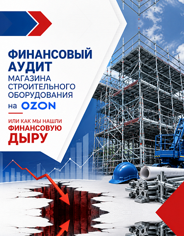 Сделанный нами проект Финансовый аудит магазина строительных лесов на Ozon