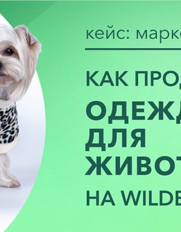 Сделанный нами проект Продвижение магазина одежды для животных на Ozon