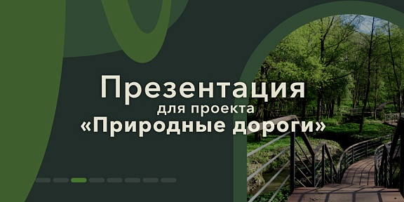 Иллюстрация к статье Кейс: разработка презентации для проекта «Природные дороги»