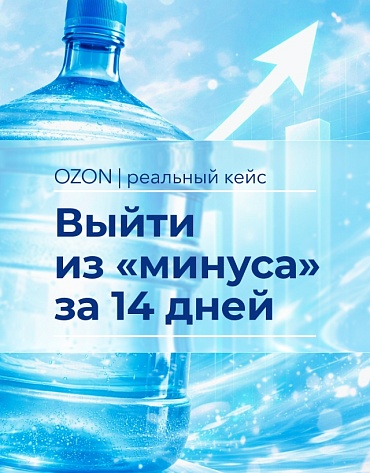 Сделанный нами проект Кейс Ozon: как выйти из минуса за 2 недели + пошаговое руководство